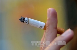 Cảnh báo: Nam giới hút thuốc không nên sử dụng vitamin B liều cao 